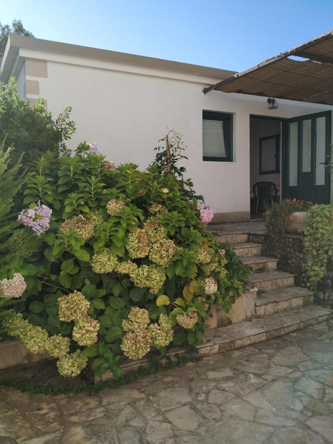 Kjara Apartments Tivat Exterior photo